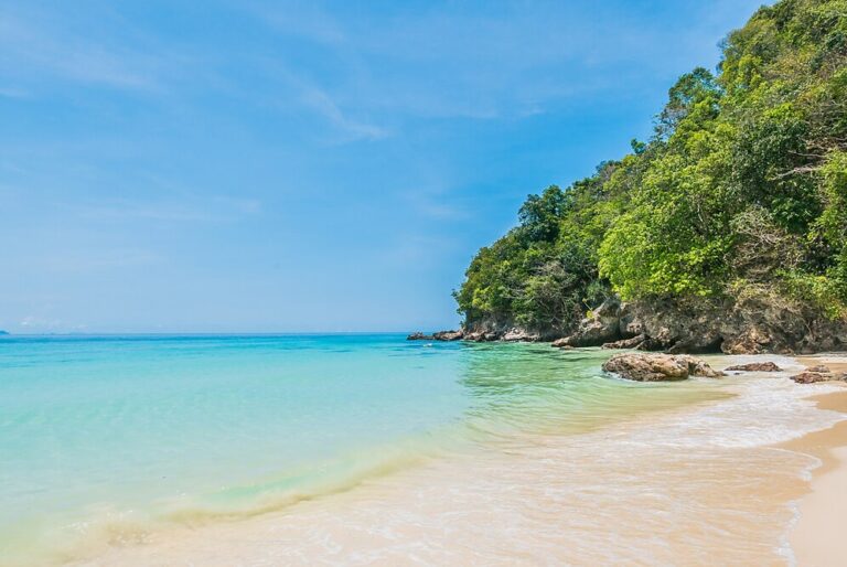 sandy-beach-with-rocks-and-trees_1203-1731